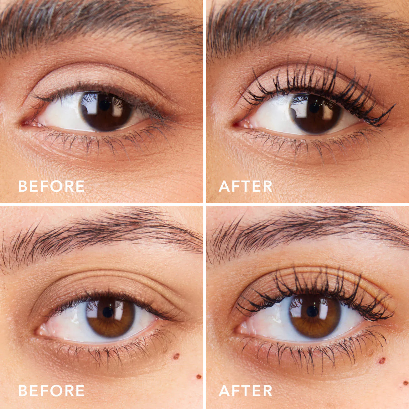 LAIASH MASCARA